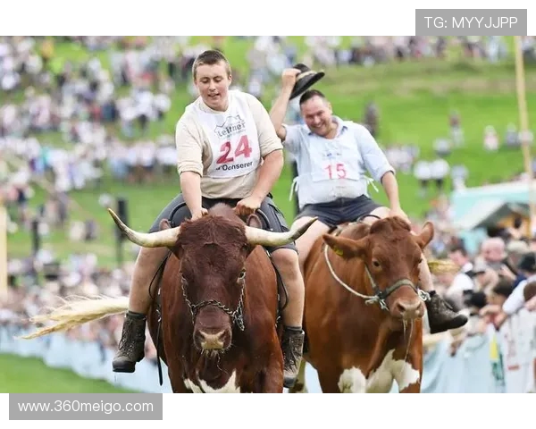 被称为“牛”的德甲球队有哪些?实力与表现解读 被称为“牛”的德甲球队有哪些?实力与表现解读