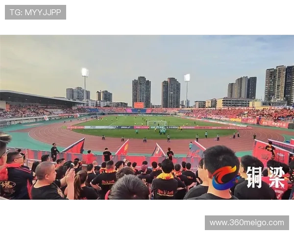 足球比赛的现场氛围与球迷文化塑造