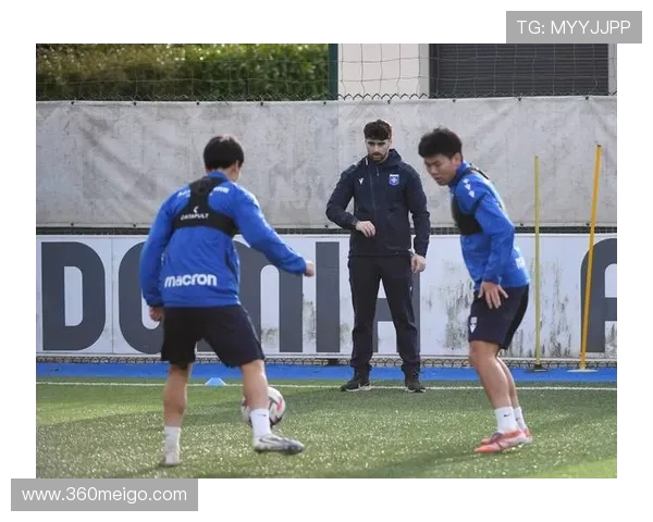 法甲各俱乐部老板背景与投资实力 法甲各俱乐部老板背景与投资实力