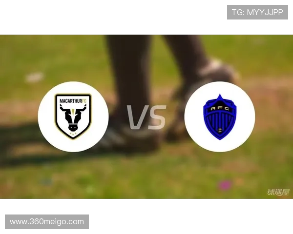 探索FC世界杯足球的魅力与发展历程 解密全球球迷心中的足球盛宴